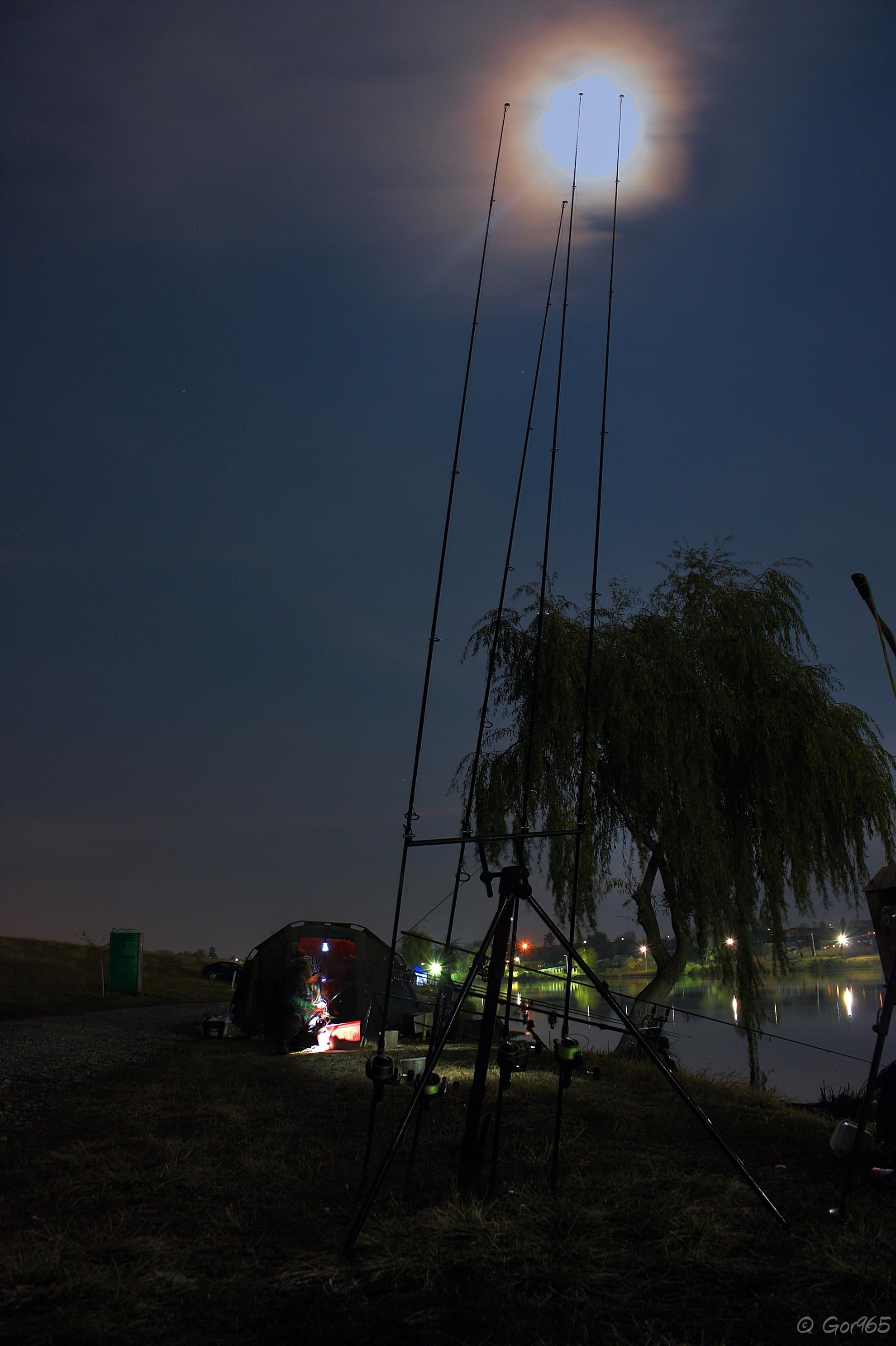 Night-vision - img036123tonemapped.jpg